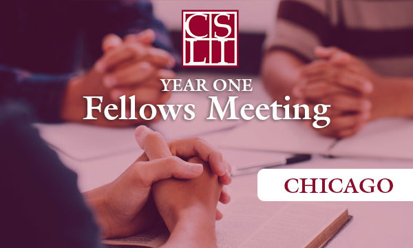 Fellows-Meeting---Year-One-Chicago