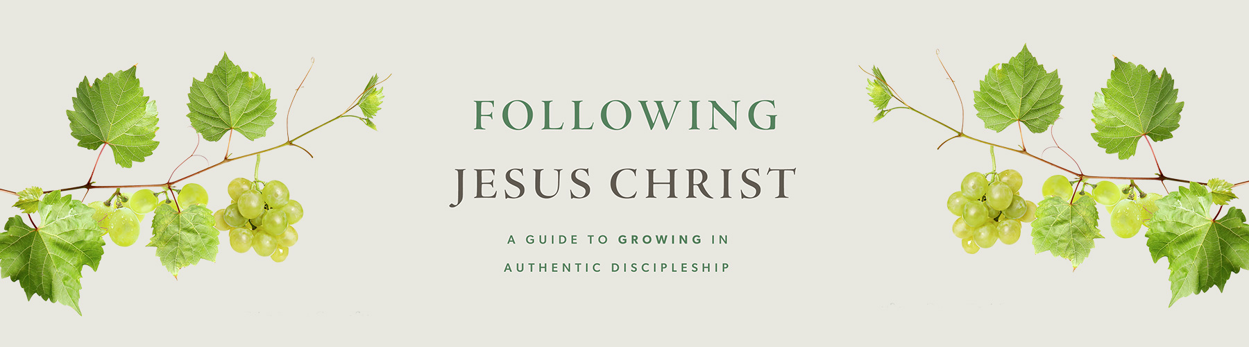 Following Jesus Christ