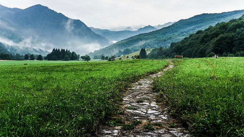 pathway to life