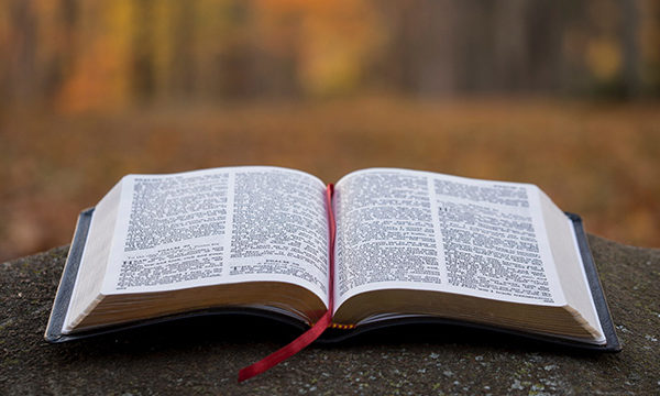 Bible Trustworthy Darrell Bock