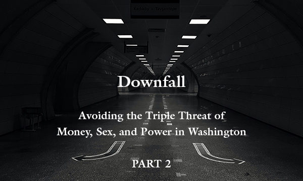 Downfall-Rebecca-DeYoung-Banner-2