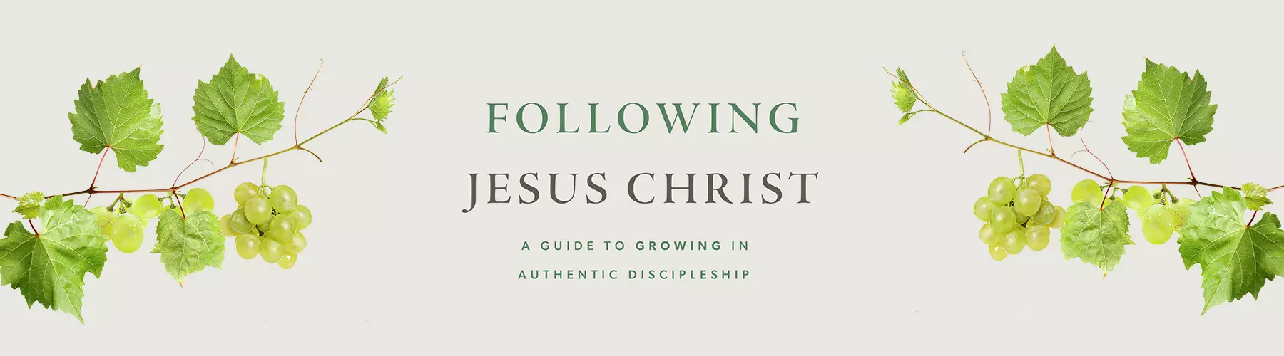 Following Jesus Christ