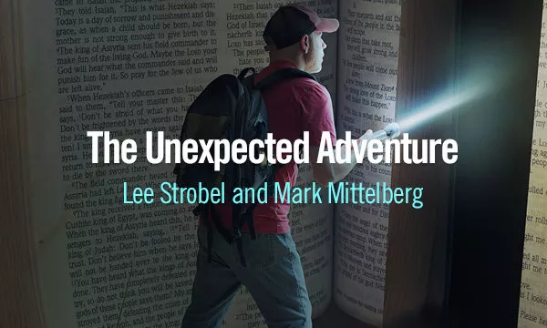 The Unexpected Adventure Lee Stroebl