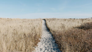 follow jesus